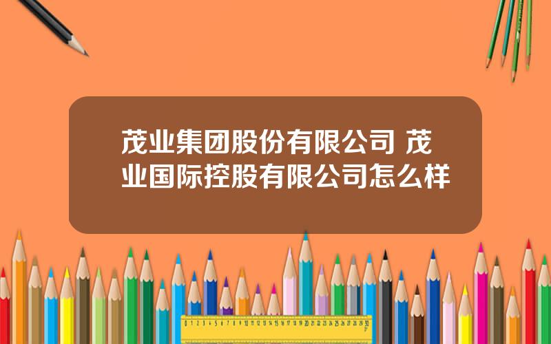 茂业集团股份有限公司 茂业国际控股有限公司怎么样